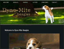 Tablet Screenshot of dynomitebeagles.com